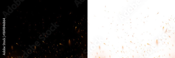 Fototapeta Fire embers and Fire sparks on white background 