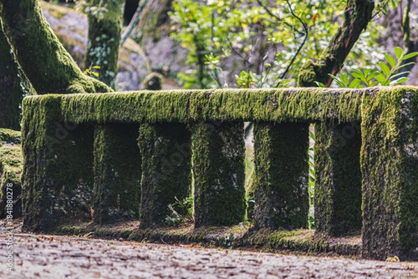 Fototapeta Moss-Covered Stone Railing in Forest of Penha, Guimaraes