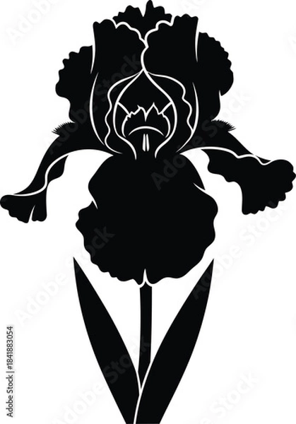 Obraz Iris Flower Silhouette Vector