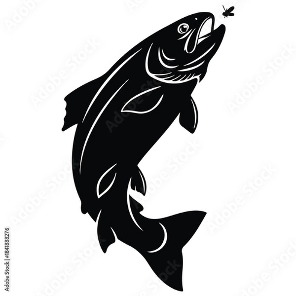 Fototapeta Black and white silhouette of a fish leaping out of water to catch a fly