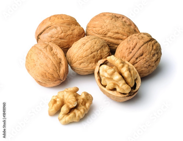 Obraz Walnuts