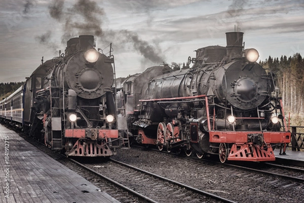 Obraz Steam trains stand by the platforms.