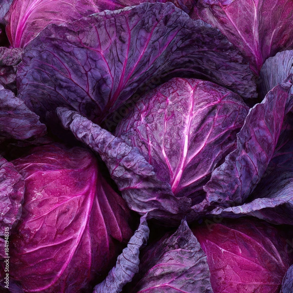 Obraz Fresh whole red cabbage on a clean surface, showcasing rich purple color and natural shine. Ideal for food markets, vegan diets, and farm-to-table concepts.