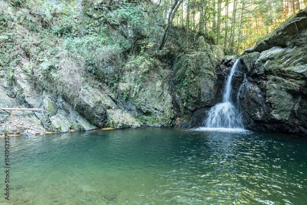 Obraz 静岡県浜松市にある緑の森の中の「仙厳の滝」,
