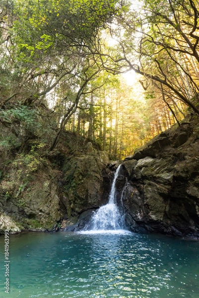Obraz 静岡県浜松市にある緑の森の中の「仙厳の滝」,
