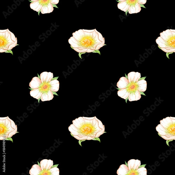 Fototapeta A seamless pattern for fabric or packaging featuring a delicate white flower. A simple yet elegant endless floral design. Trendy hand drawn watercolor illustration for design packaging, wrapping gifts