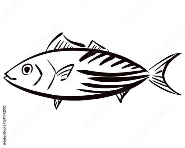 Obraz Simple Hand-Drawn Bonito Illustration