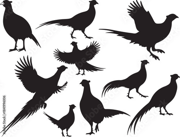 Fototapeta Pheasant Bird Silhouettes
