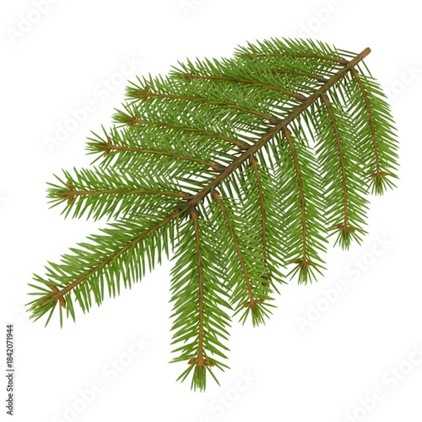 Fototapeta Christmas tree branch PNG isolated on transparent background