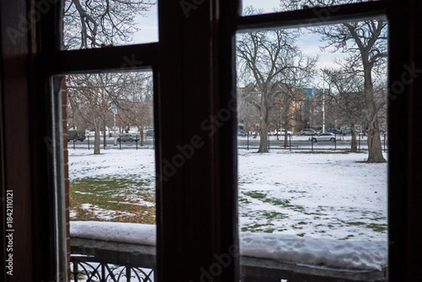 Obraz Snow from the window