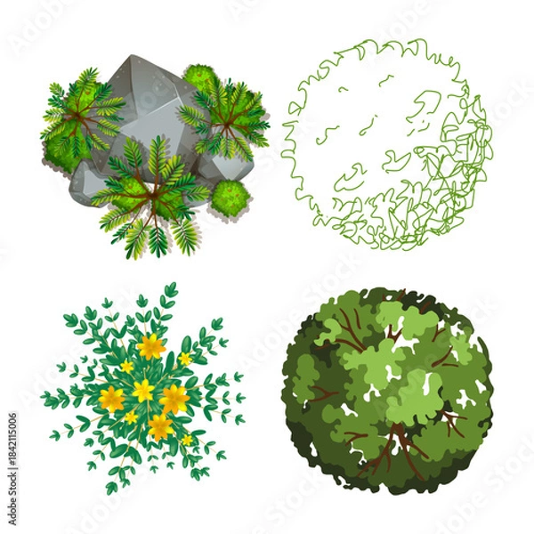 Fototapeta Collection of various green leafy plants and flowers in different styles and shapes on