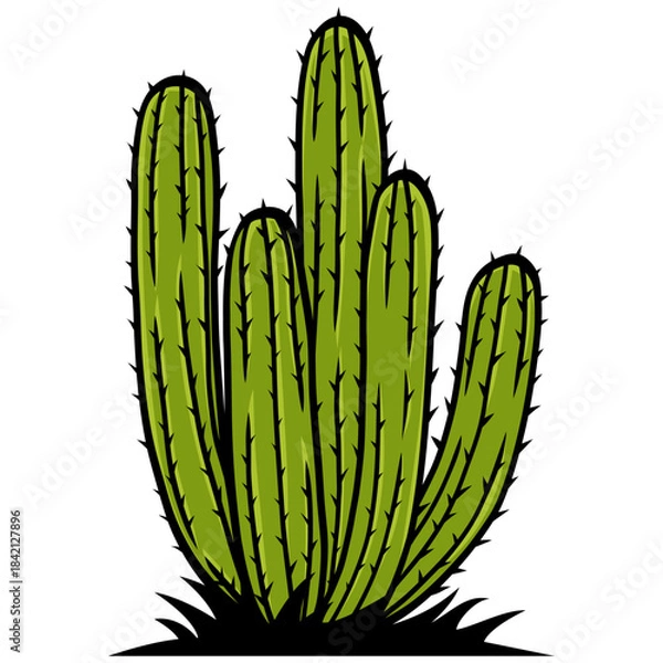 Obraz Cactus Tree Drawing Vector Illustration