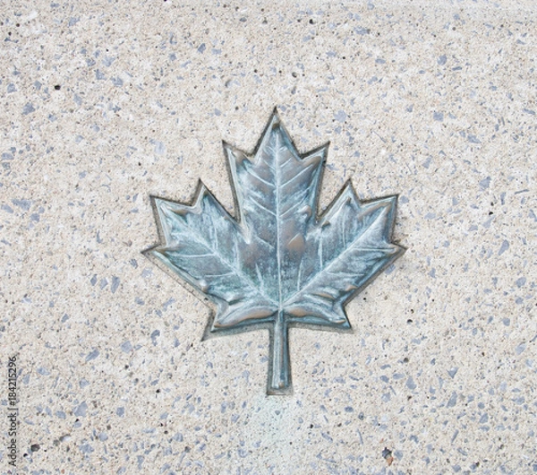Obraz feuille, symbole Canada