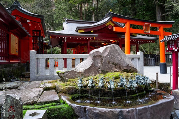 Obraz 箱根神社　九頭龍神社　境内