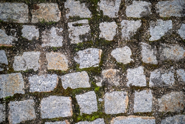 Obraz Textured cobblestone pavement with green moss patches.