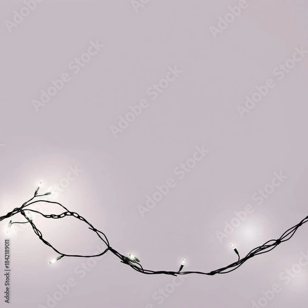 Obraz String of small white fairy lights with black wire draped across a pale lavender background space on white background