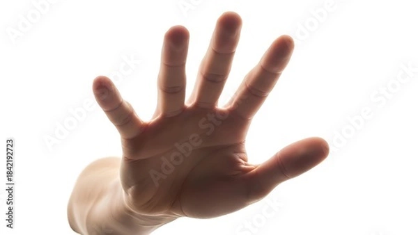 Obraz Close up of a human hand held up with fingers spread wide against a bright white background symbolizing stop or warning.