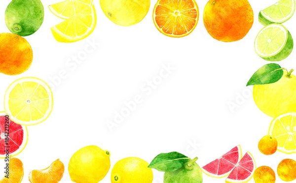 Obraz フレッシュな柑橘類のフレーム　果物の手描き水彩イラスト素材
