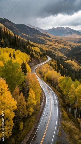 Fototapeta Winding Road through Autumnal Splendor: An aerial view of a serpentine road weaves through a landscape ablaze with the vibrant hues of autumn, capturing the beauty of nature