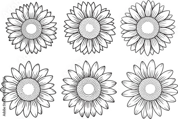 Fototapeta Set of sunflowers black outline, hand drawn vector floral elements in line art style