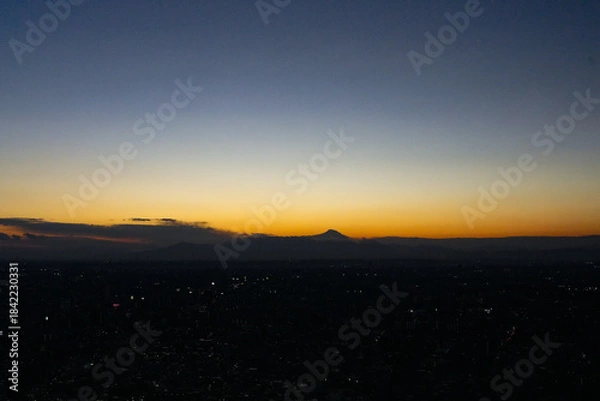 Fototapeta 東京都庁からの夜景