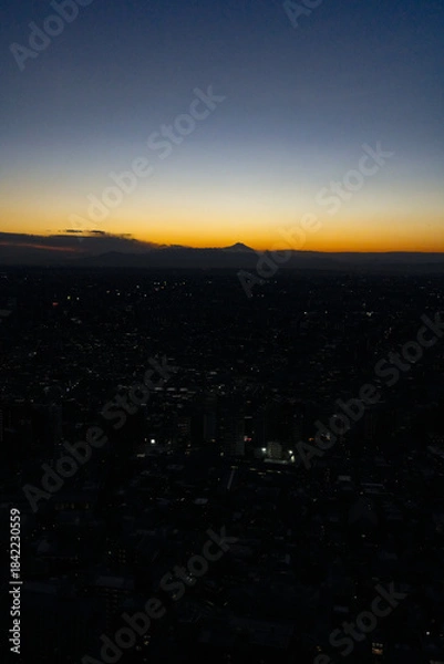 Fototapeta 東京都庁からの夜景
