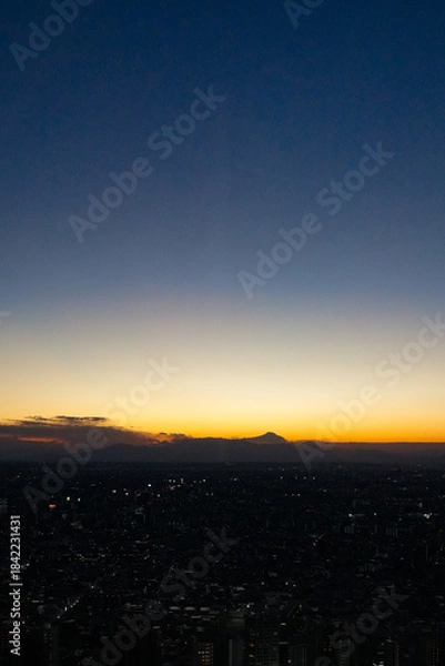 Fototapeta 東京都庁からの夜景
