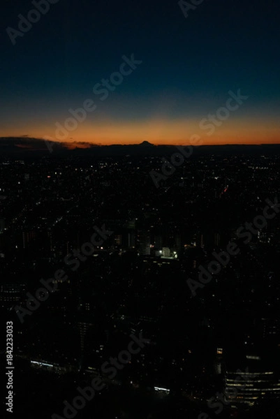 Fototapeta 東京都庁からの夜景