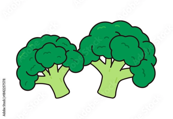 Obraz ブロッコリー　2個