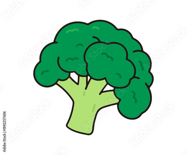 Obraz ブロッコリー