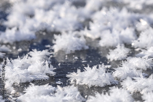 Obraz 北海道むかわ町、鵡川に現れたフロストフラワー【12月】