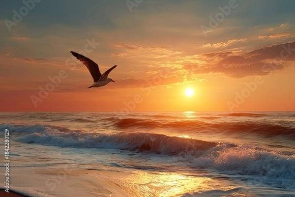 Obraz Coastal scene featuring a gull soaring across a seascape during a vibrant sunset