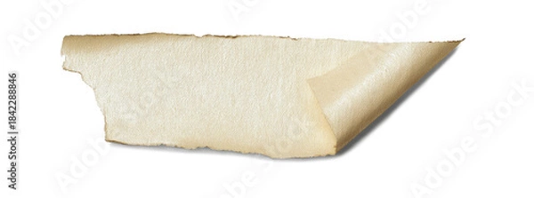 Obraz Old Torn Textured Paper with Curled Corner