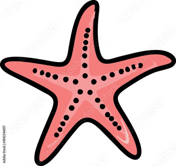 Fototapeta starfish 