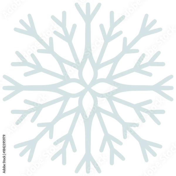Fototapeta snowflake