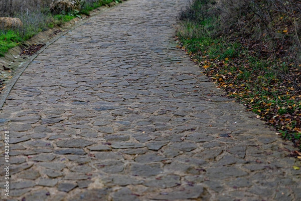 Obraz Curved stone walkway bordered by grass and fallen leaves, captured outdoors on an overcast autumn day, ideal for nature and travel concepts.