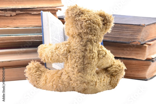 Obraz Teddy bear with book isolated