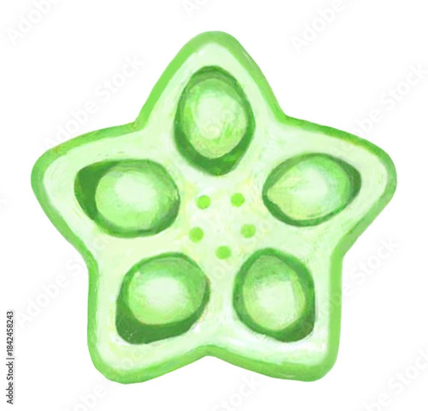 Obraz オクラの断面のイラスト