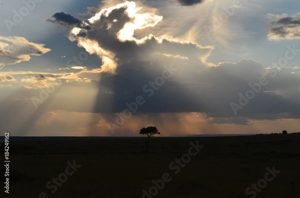 Obraz African horizon