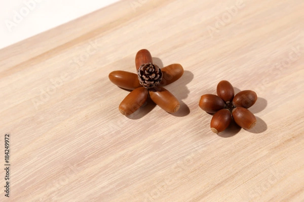 Obraz 秋素材_どんぐりと松ぼっくりの花１