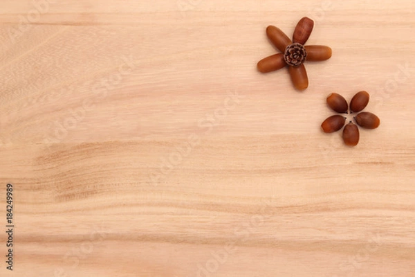 Obraz どんぐりと松ぼっくりの花の背景素材１