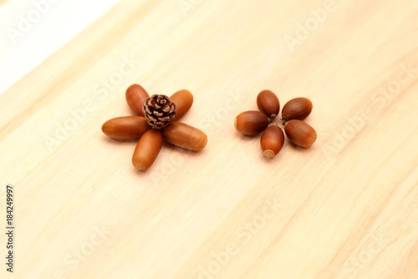 Obraz 秋素材_どんぐりと松ぼっくりの花２