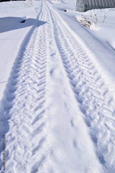 Obraz 北国の道路