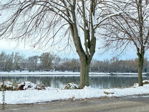 Obraz River, Drava. Snow.