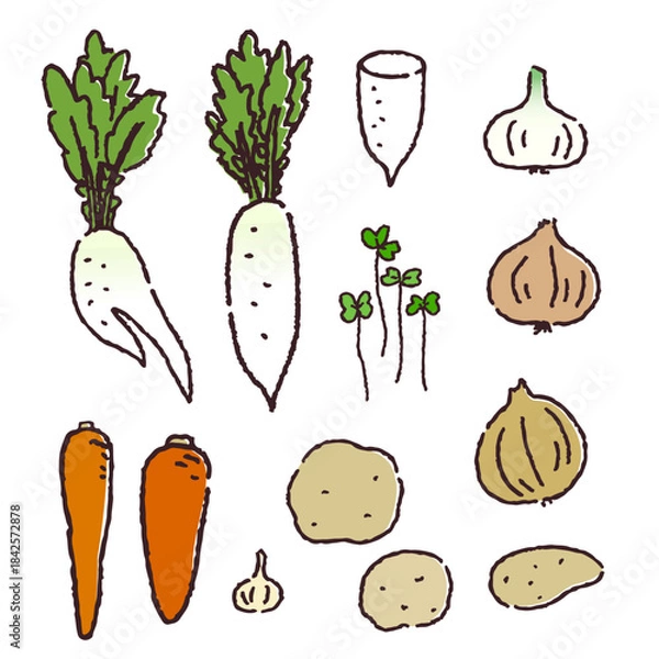 Obraz 手描きの日常使いの野菜セット