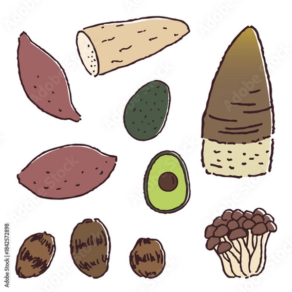 Obraz 芋類、きのこ、アボガド、たけのこの手描き野菜