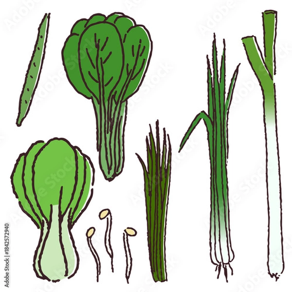 Obraz 手描きの野菜セット　葉物野菜など