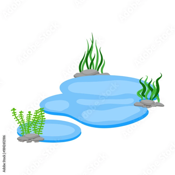 Fototapeta Cartoon Water Pond with Rocks and Seaweed