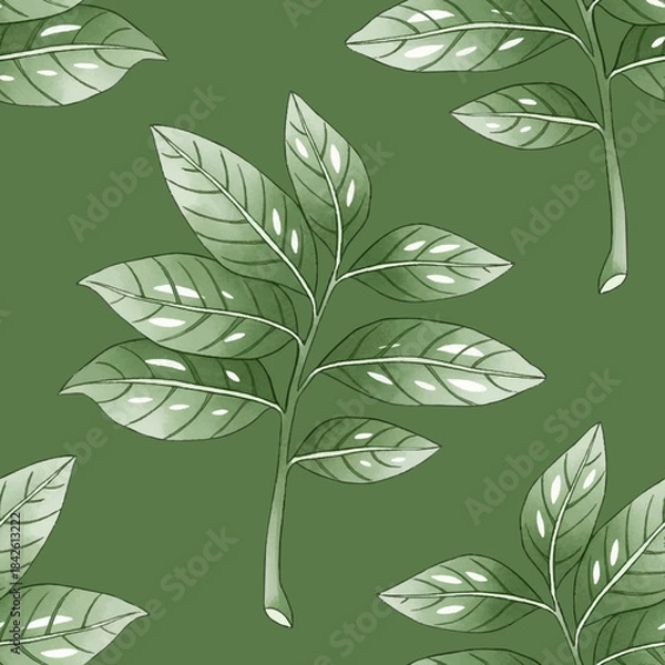 Fototapeta Seamless pattern Tree laurel.