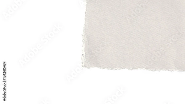 Fototapeta white torn paper